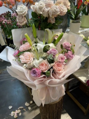 �ό��ձ��@���ꌍ�w��24С�r�I�I