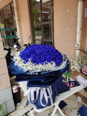 �ό��콡���^���ꌍ�w��24С�r�I�I