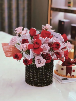 �ό���ͯ���@���ꌍ�w��24С�r�I�I