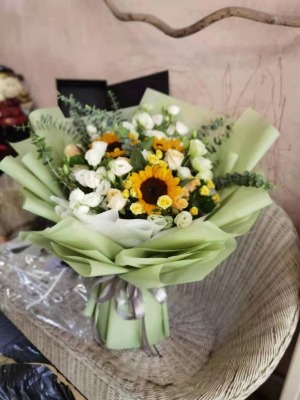 �ό��Ύ�·���ꌍ�w��24С�r�I�I