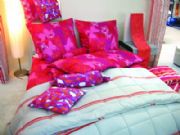 2012������m�˸��Ҽ�չ(�D)