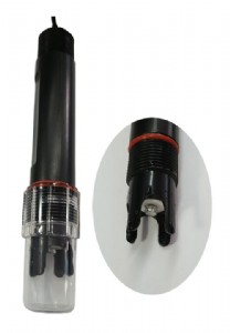 ���Iorp늘Ood-101