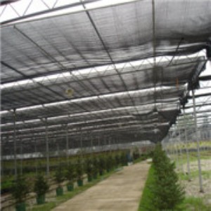 늄��X݆�X�l��ꖴ��� ���K���ҽ��O ���K���Ҵ����N�� ����