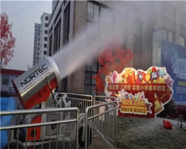 ��ѩ�C(j��)��ѩ��ʽ �˹���ѩ�C(j��)Ч���