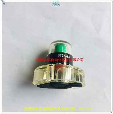 5797-64Ӣ���Z���^�V���Vо����ָʾ��