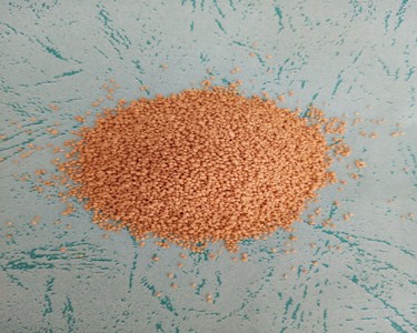 35���{��󶹰���΢��