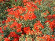 �����ر��¼�(�D)