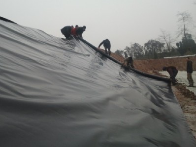 ���S�͹޻��AHDPE���BĤ