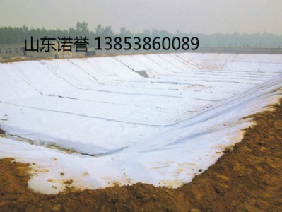 ���ˏͺ�����Ĥ���a�S��