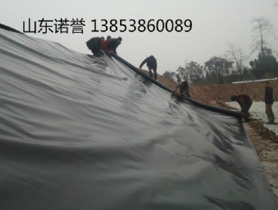 ���l�β���1.5mmhdpe���BĤ