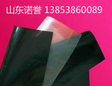 �������������ϻ�1.5mm���BĤ