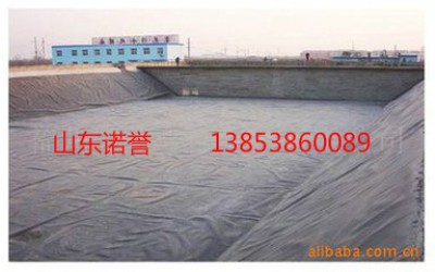 �º�����A1.5mm���BĤ