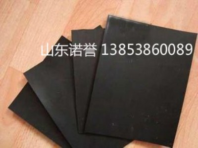 �Lɳ������1.0mmhdpe����Ĥ