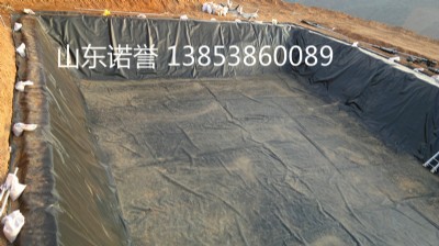 ��������I�Bֳhdpe���BĤ