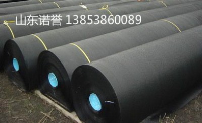 齊齊哈爾化學(xué)反應(yīng)池1.5mm土工膜