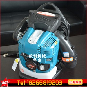 背負(fù)式汽油吹風(fēng)機(jī) 背負(fù)式鼓風(fēng)機(jī)