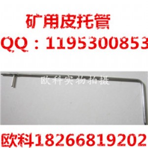 Ƥ�й�S��Ƥ�й����كx