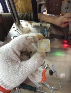 ��������Ԅ�Ϳ�z�C����������Ԅӟ����z�C����������Ԅ��c�z�C