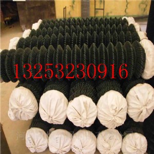 �P��������ܹ����W(w��ng)����\�����W(w��ng)���l(f��)ƽ�y������j(lu��)