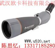 ������Regal 80 F-ED�^�B(�D)