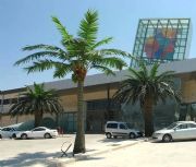 ̦�\΢���^ ����Ҭ�Ә� ���Θ�ľ �Ҙ� ���Bƿ��� ֲ��3ɫ