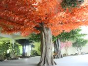 3�״����٘������ٴ��Ř���y�ӵ���b���ư�