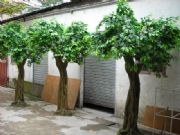 �����Ř��~���Ř�֦���~�@ˇ�b��~�ӷ���Gֲ�٘�֦���l(f��)���̘�֦