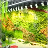 ���洹ֱ�G��ֲ� �҃ȷ���ֲ�����