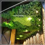 �S��ֱ�N����ֲ� ����Gֲ�� ��ֱ�G���� �҃�ֲ�