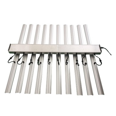 1000w��צ�~ֲ�����L��