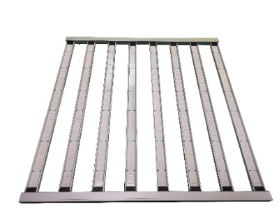 1000w�ɲ�ж���lֲ�����L��