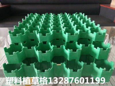 7����ͣ܇(ch��)��(ch��ng)ֲ�ݸ�