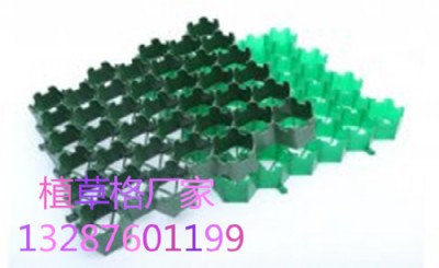 ��������ֲ�ݸ�r(ji��)��