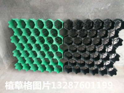 ����ͨ��ֲ�ݸ�r(ji��)��