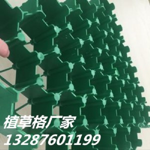 ���f����ֲ�ݸ�r��