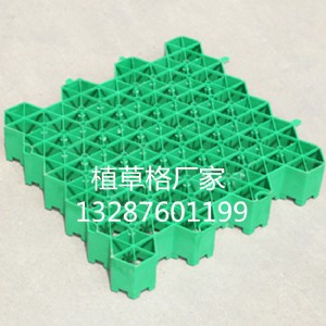 ����ֲ�ݸ�/����ֲ�ݸ����޹�˾