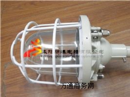 供應(yīng)DCd-100、隔爆型防爆燈、防爆燈、隔爆燈