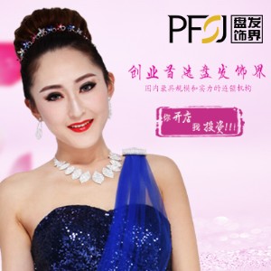 �P�l�psfj�P�l�^�Ʒ����