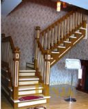 Ʒ�ۘ��� �e������ �Fˇ�ڗU �Ϻ�����