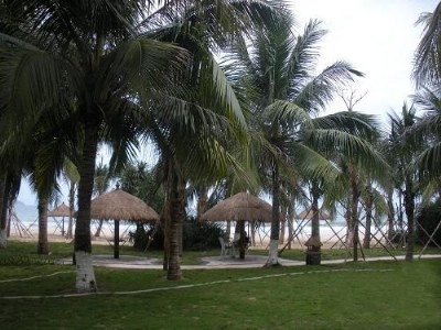 �½�����é����