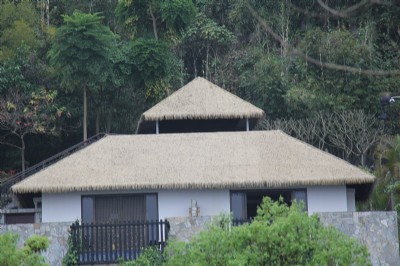 ���Ϸ���é����