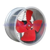 �S���L�C�S��