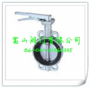 �_����ɽ���P��ְ�ʽ���yFS037