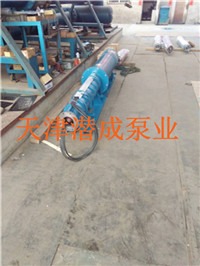 ���250qjw�Pʽ��ˮ�ó����O��