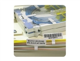 ���ͣ����ۣ�늾���|�˺�