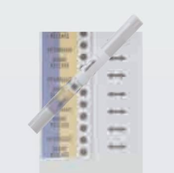 BRADYؐ��B-999���w��·�˺�