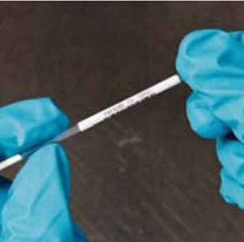 ؐ��B-427���Ϙ˺�