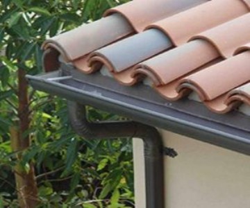 ��α����Ʒ��ϵ�覴�