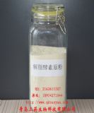 ����oem�N�ƴ���  �_���M�ڽ���