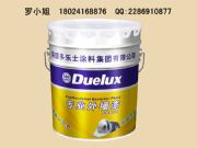 Ӣ������ʿ�ȉ����z������(�D)